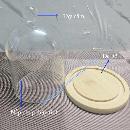 Nắp Chụp Thủy Tinh Đế Gỗ 12*16cm Trưng Bày Bánh